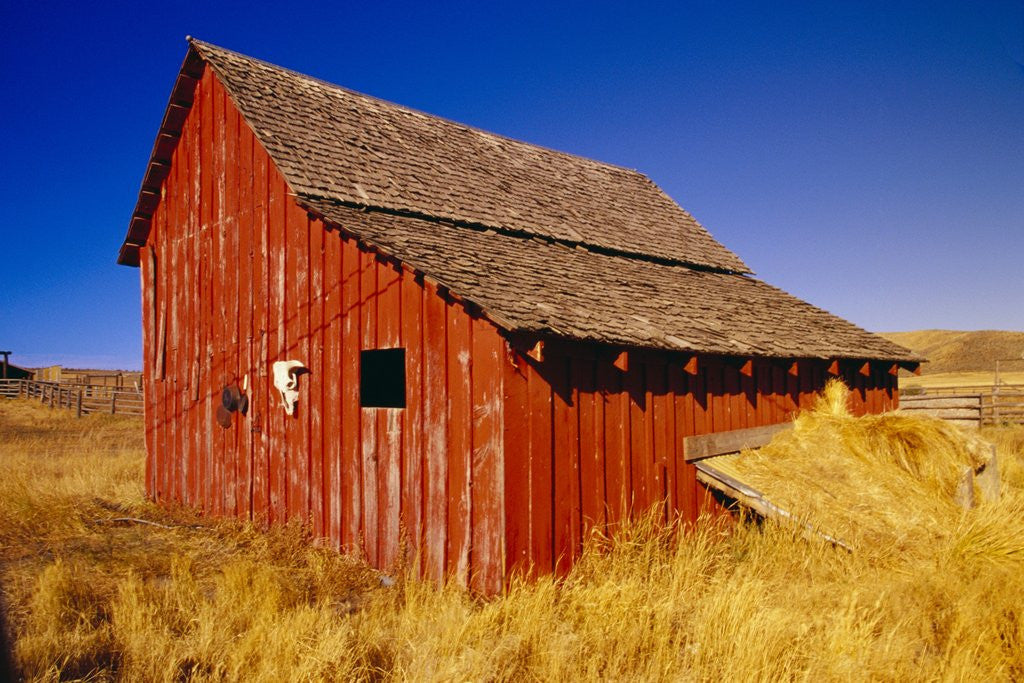 Detail of Weathered Old Barn on Ranch by Anonymous