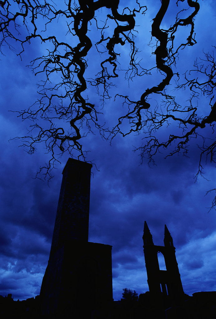 Detail of St. Andrew's Cathedral Under Gloomy Sky by Anonymous