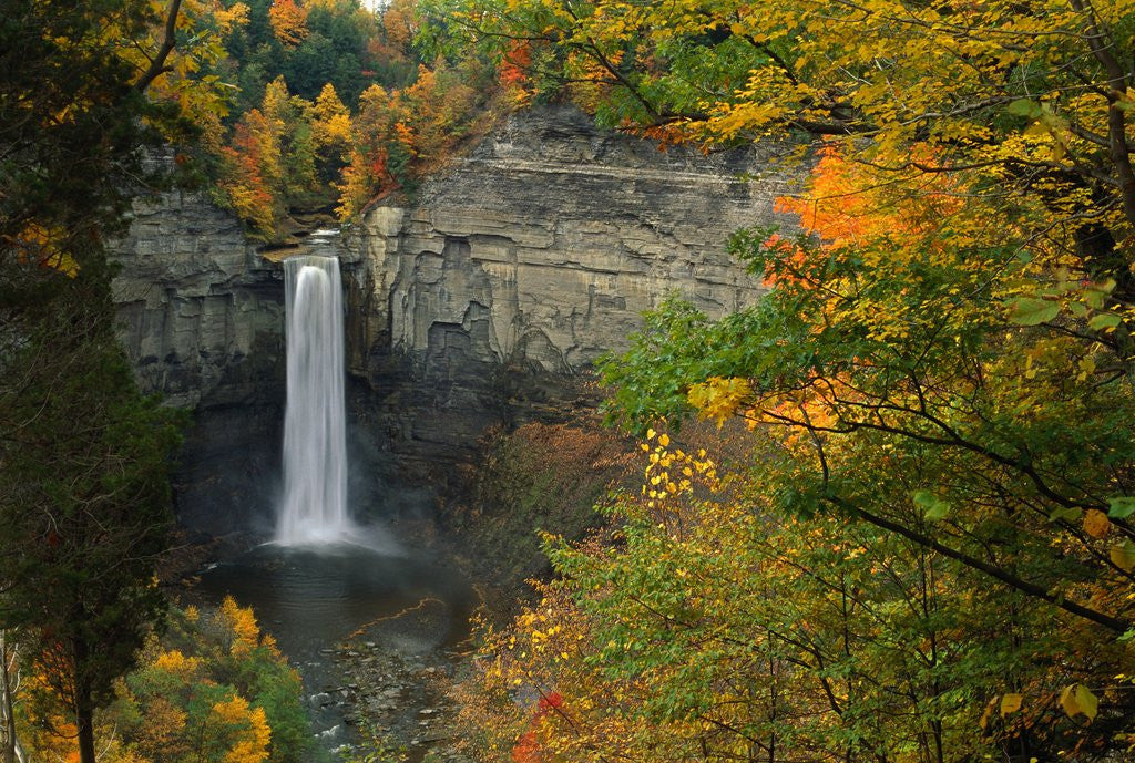 Detail of Waterfall Amongst Autumn Foliage by Anonymous