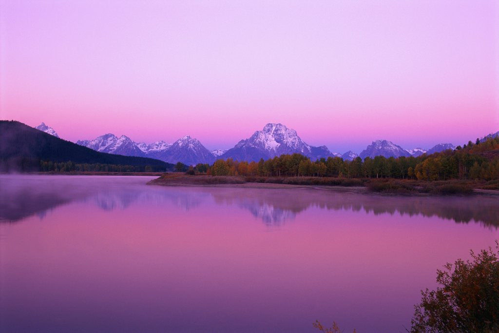 Detail of Mount Moran Rises Above Snake River by Anonymous
