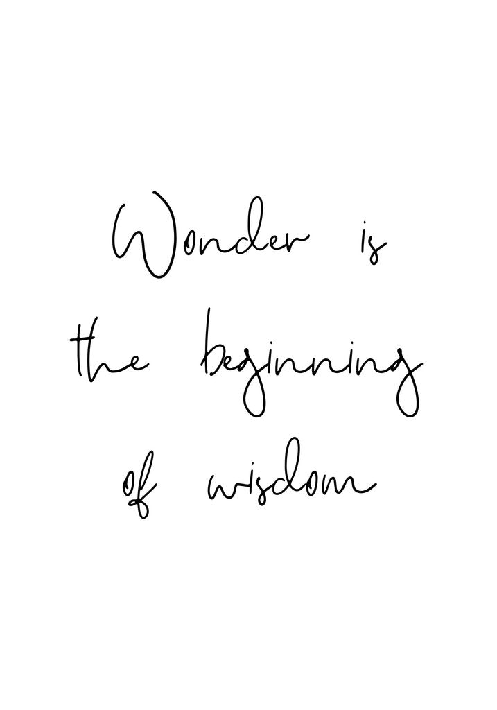 Detail of Wonder by Joumari