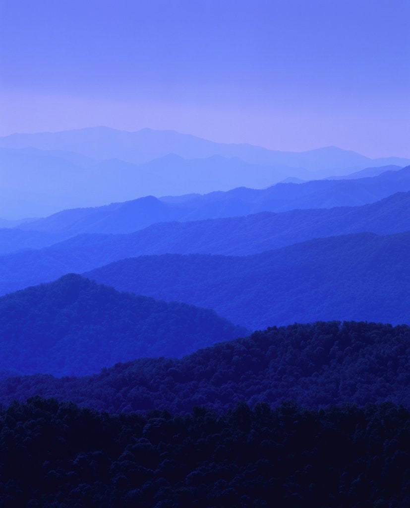 Detail of Great Smoky Mountains by Anonymous