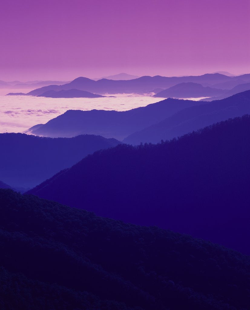 Detail of Twilight over Great Smoky Mountains by Anonymous