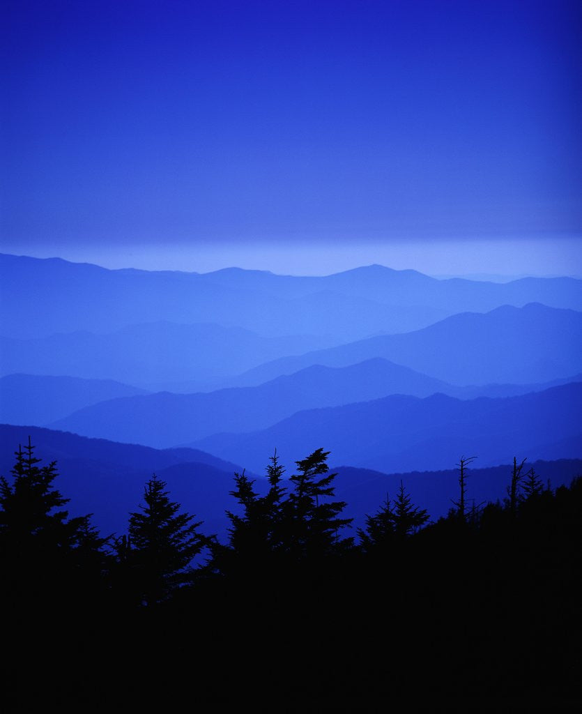 Detail of Great Smoky Mountains at Twilight by Corbis