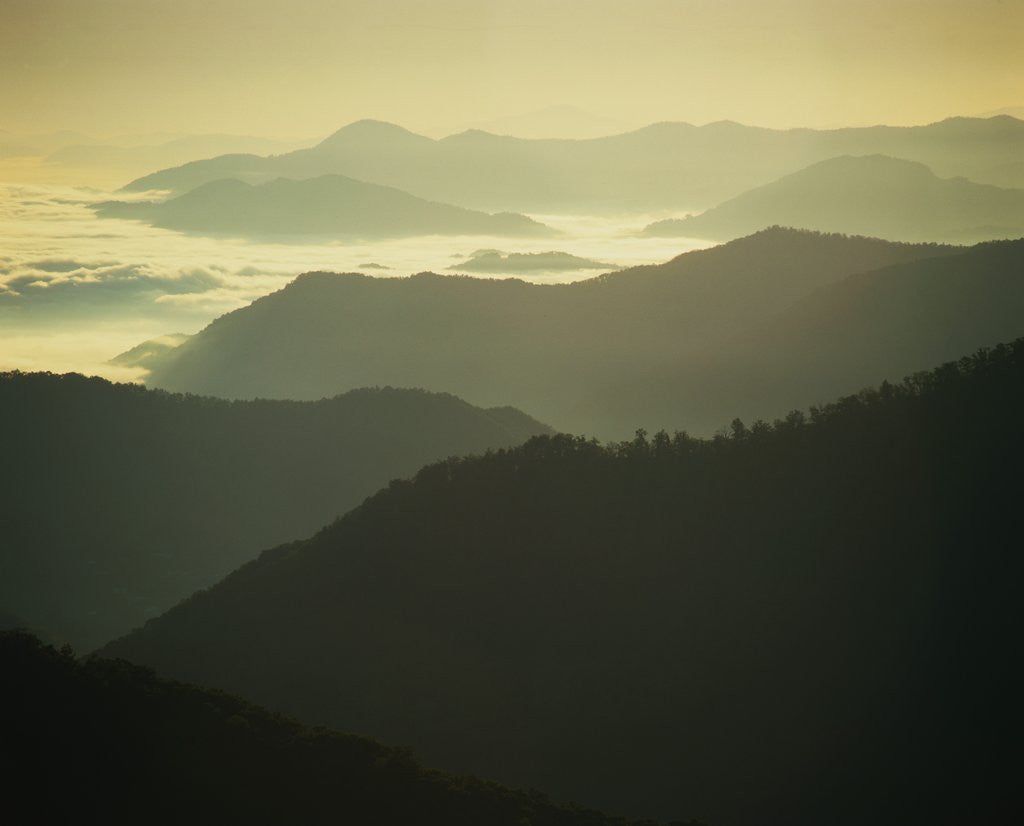 Detail of Great Smoky Mountains by Anonymous