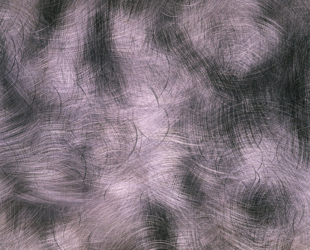 Detail of Brushed Aluminum by Anonymous