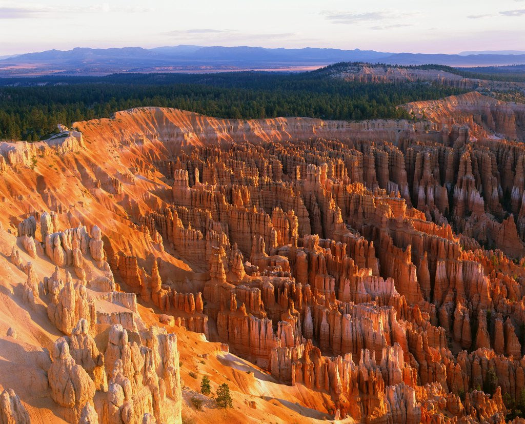 Detail of Bryce Amphitheater by Anonymous