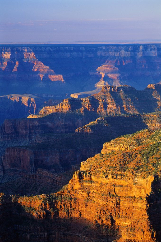 Detail of Bright Angel Trail by Anonymous