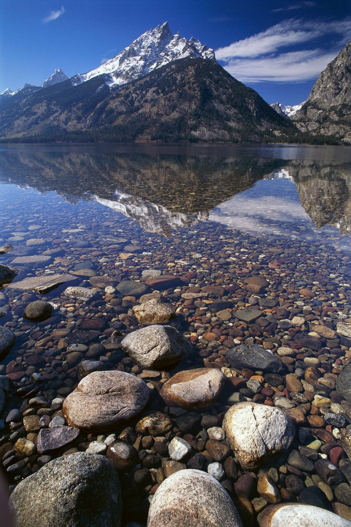 Detail of Water Reflecting Teton Range by Anonymous