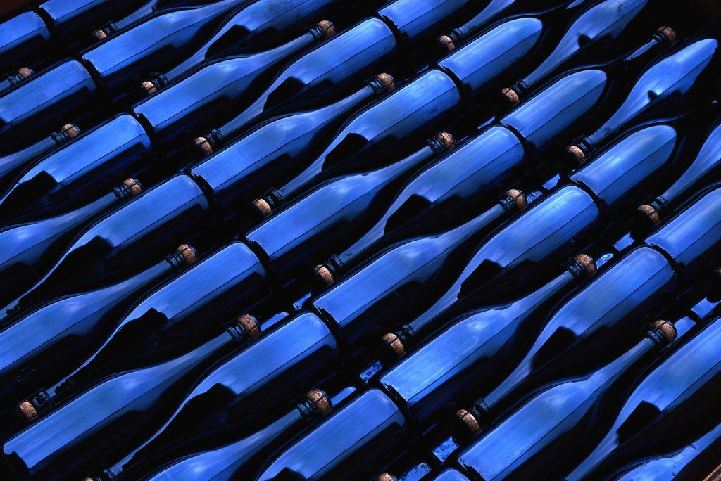 Detail of Champagne Bottles Waiting for Labels at Argyle Winery by Corbis