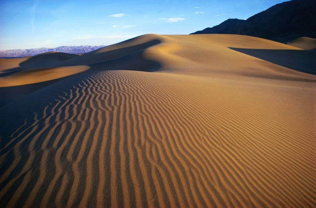 Detail of Sand Dunes in Death Valley by Anonymous