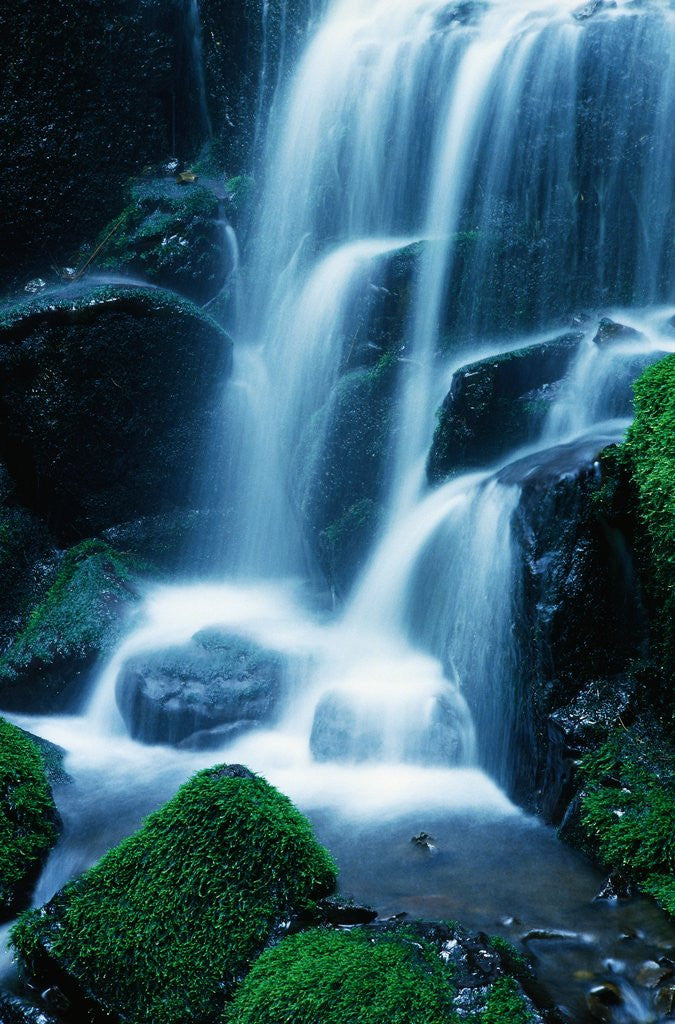 Detail of Waterfall in Yosemite National Park by Anonymous