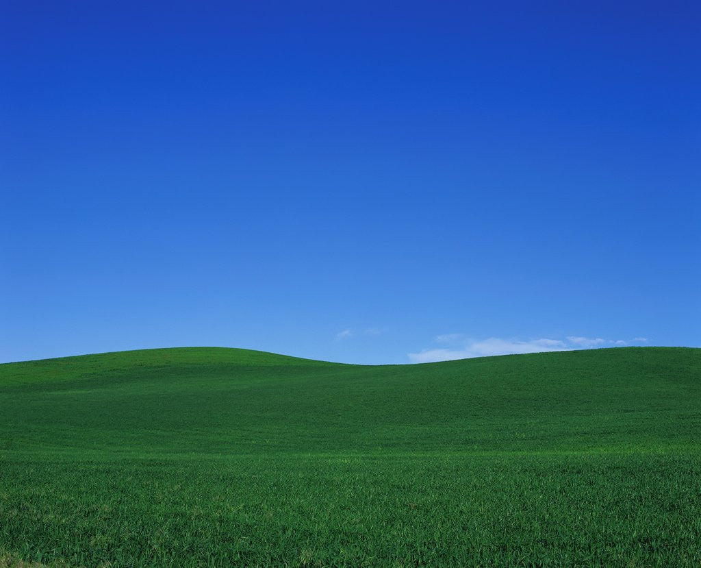 Detail of Green Hills by Anonymous