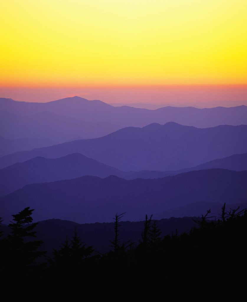 Detail of Great Smoky Mountains at Twilight by Anonymous