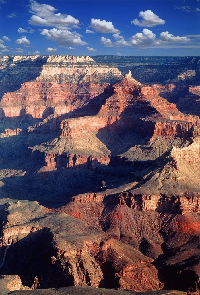 Detail of Grand Canyon by Anonymous