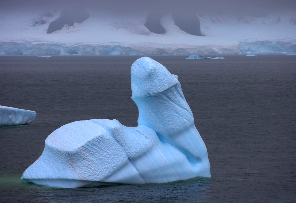 Detail of Cockberg by @wildmanrouse