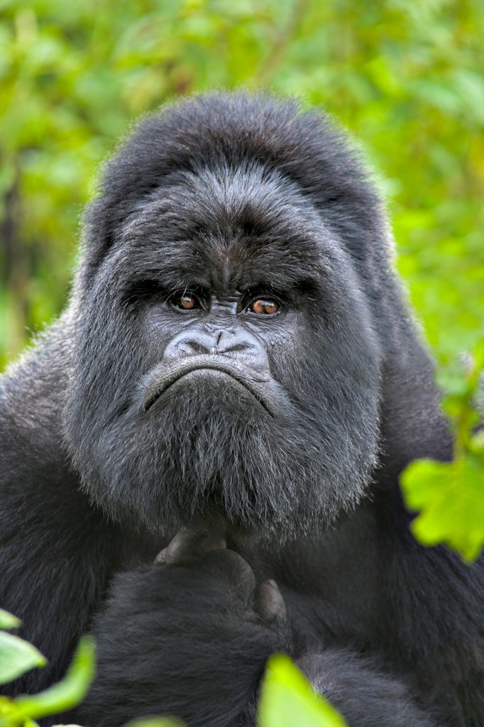 Detail of The Thinker by @wildmanrouse