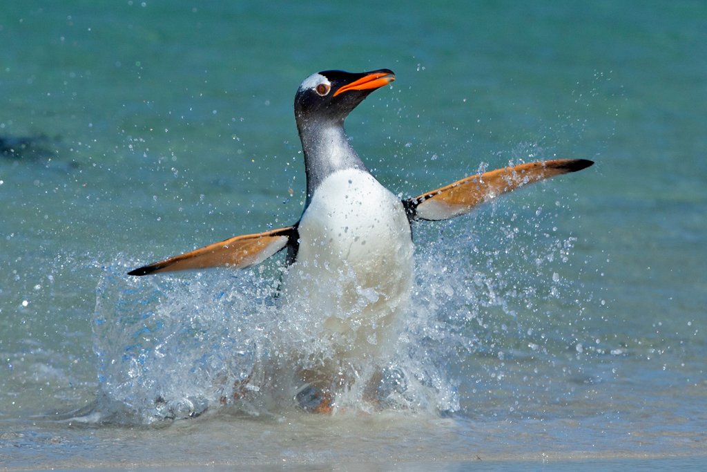 Detail of Winter warmer by @wildmanrouse