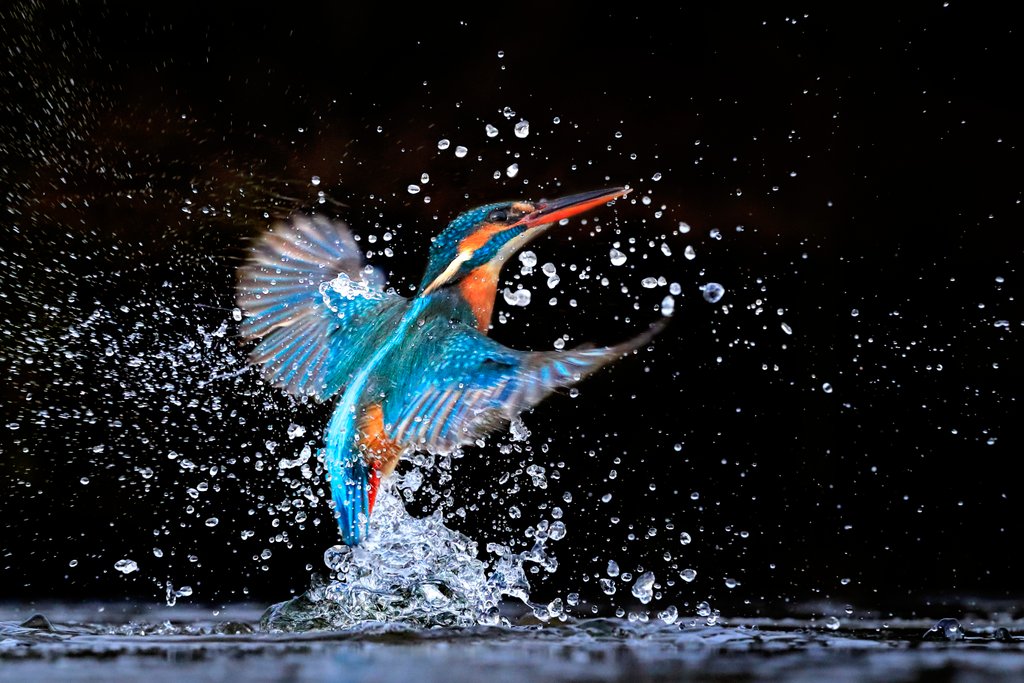 Detail of Azure Splash by @wildmanrouse