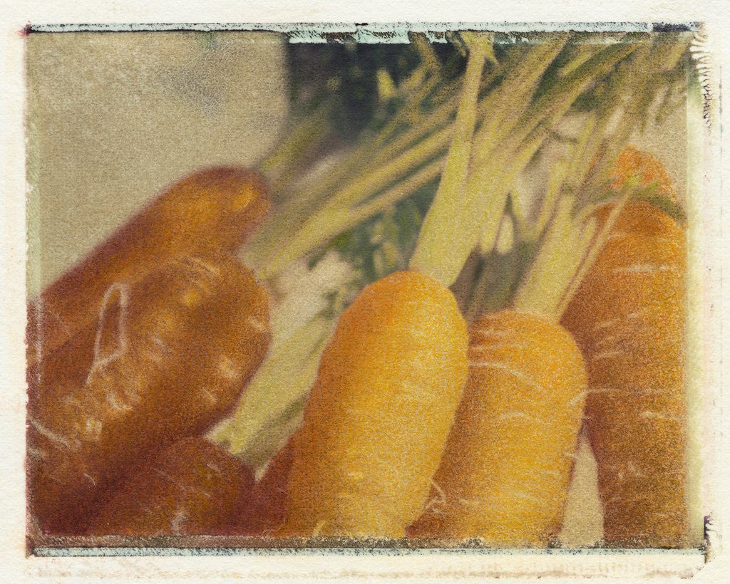 Detail of Carrots by Jennifer Kennard