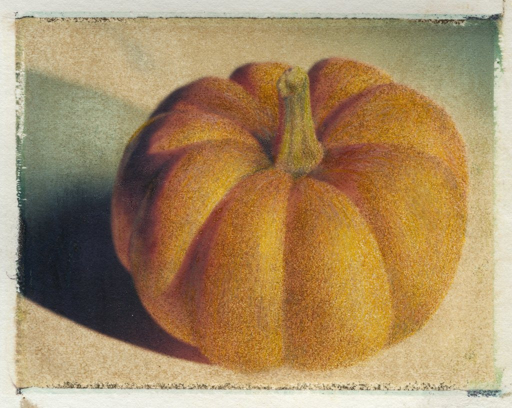 Detail of Pumpkin by Jennifer Kennard