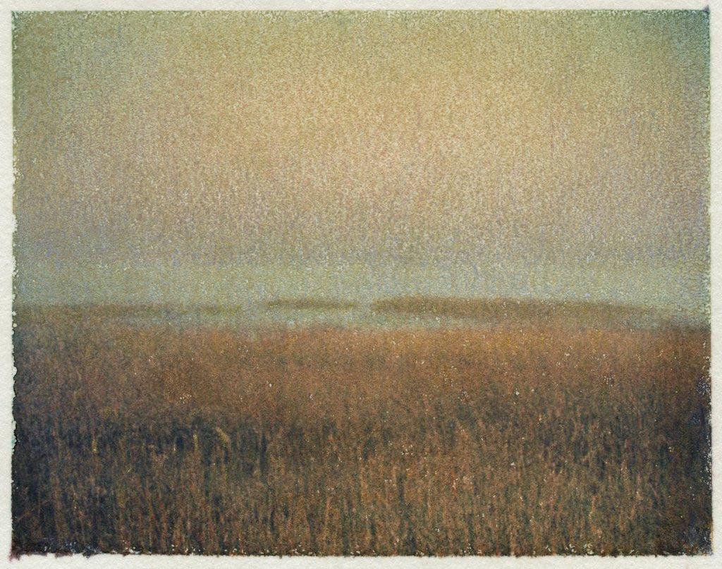 Detail of Eastham Marsh by Jennifer Kennard