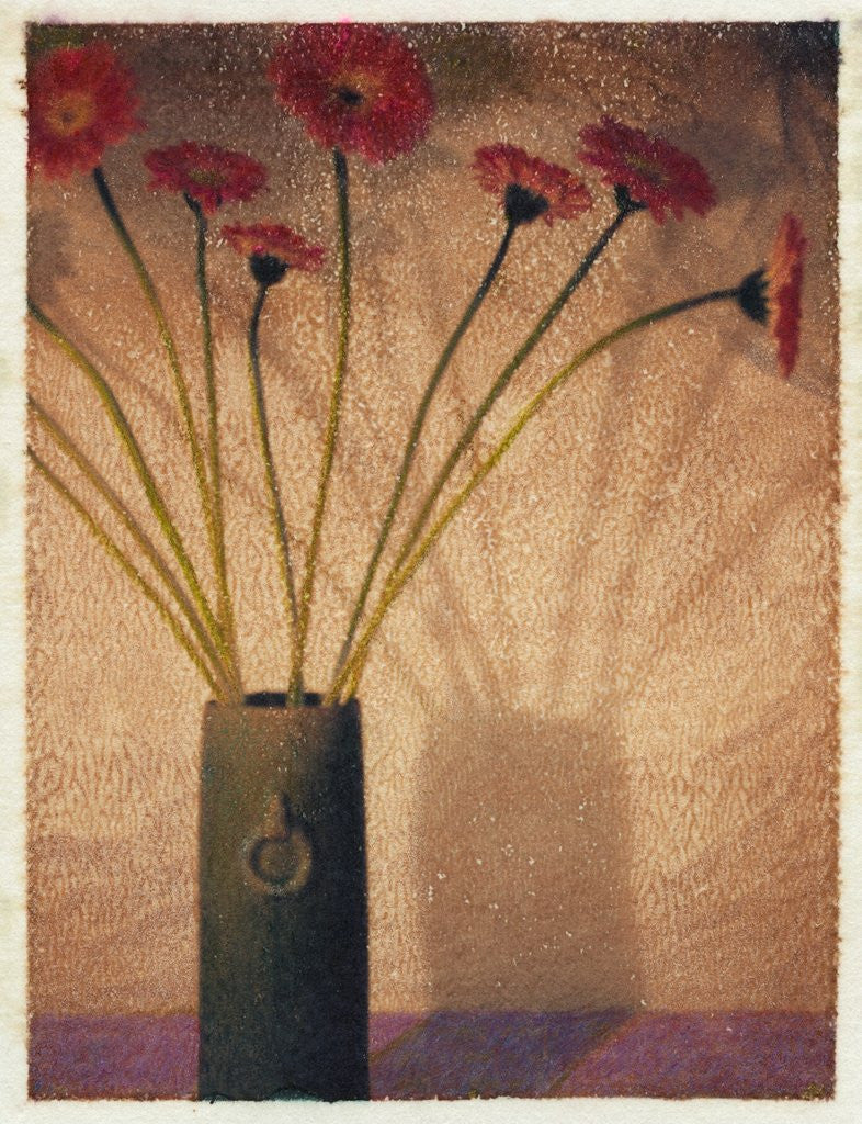 Detail of Gerbera by Jennifer Kennard