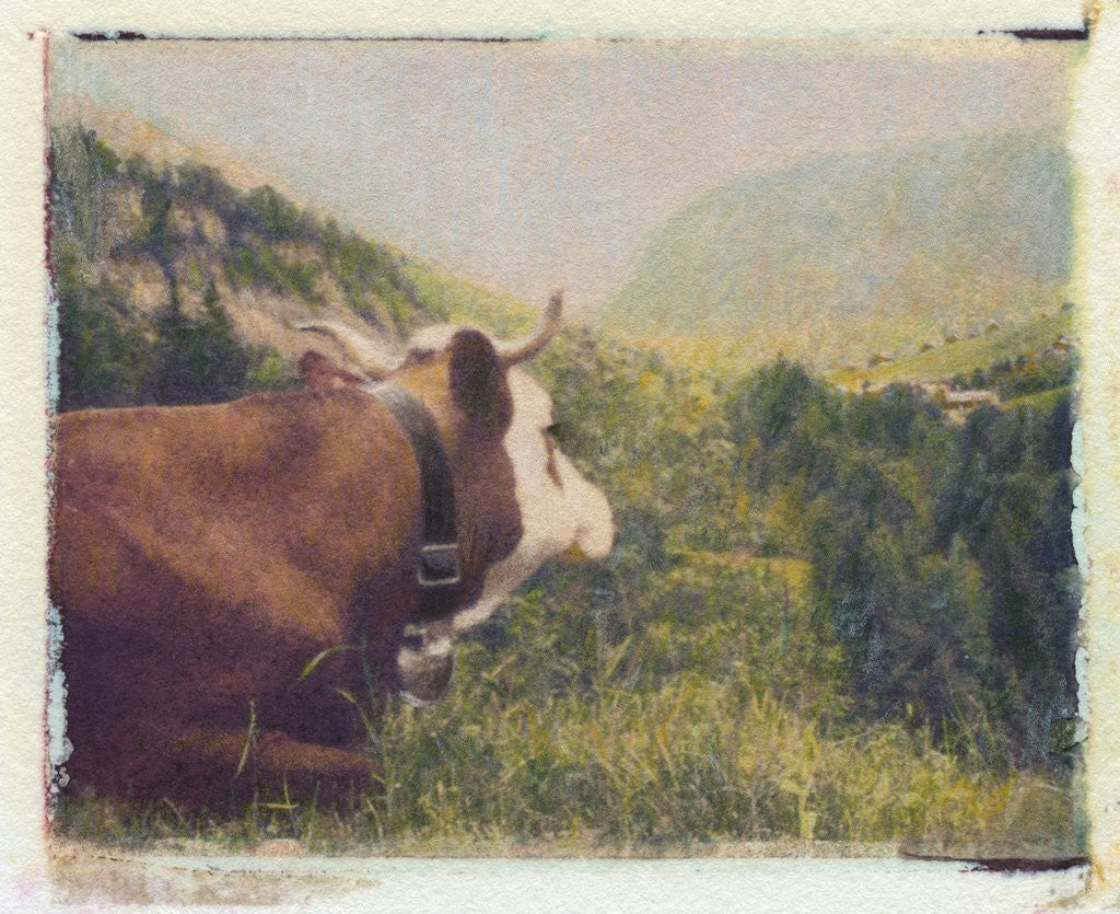 Detail of Alpine Cow by Jennifer Kennard