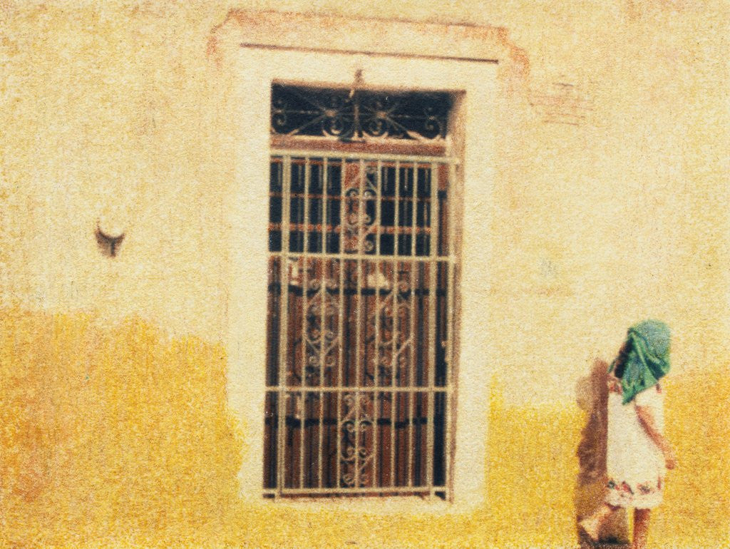 Detail of Mayan Woman by Jennifer Kennard