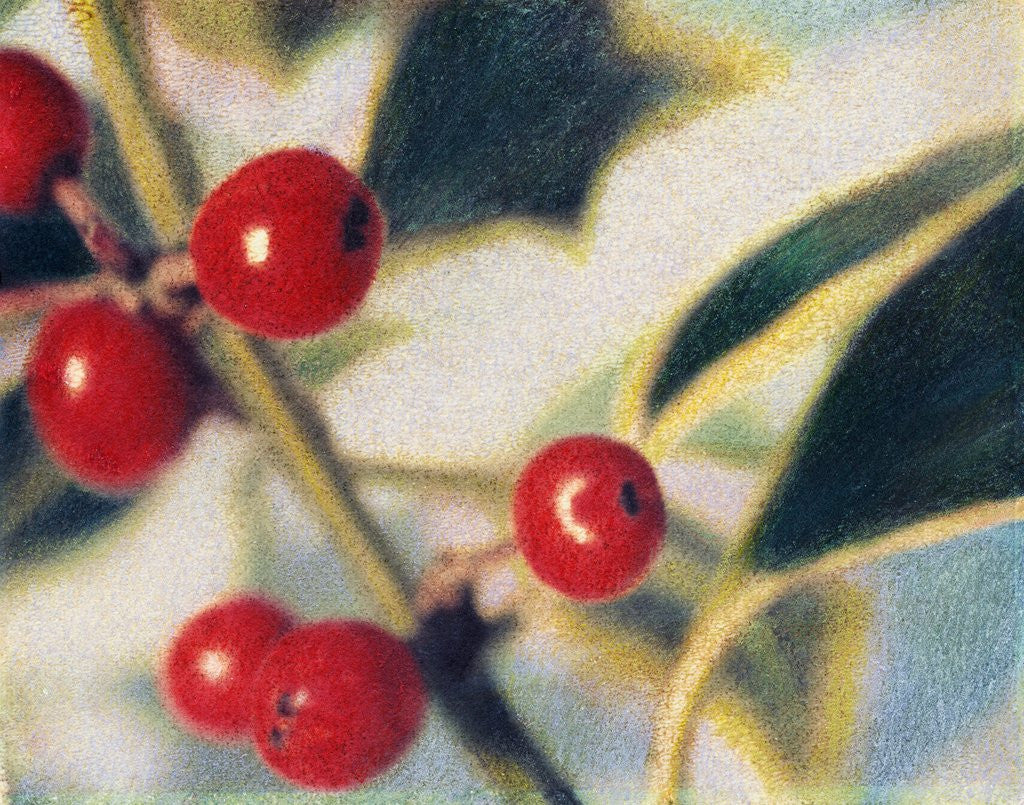 Detail of Holly with Berries by Jennifer Kennard