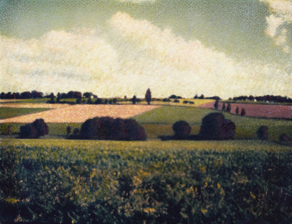 Detail of Brittany by Jennifer Kennard