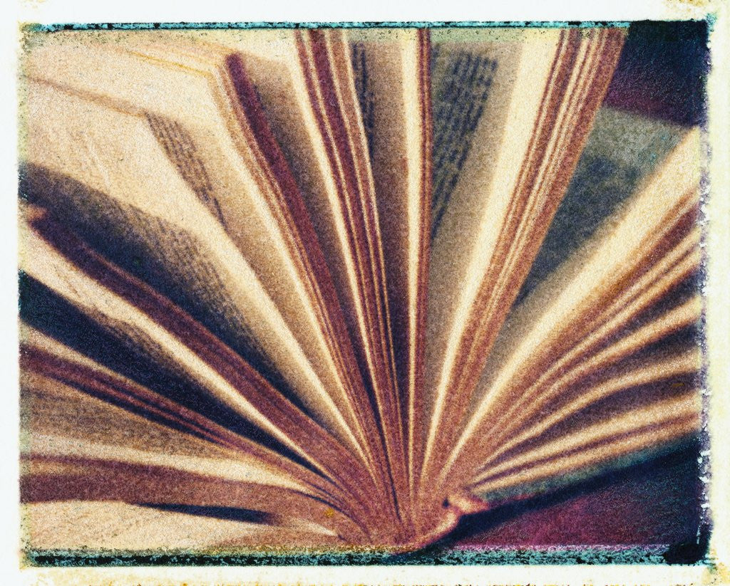 Detail of Open Book #3 by Jennifer Kennard