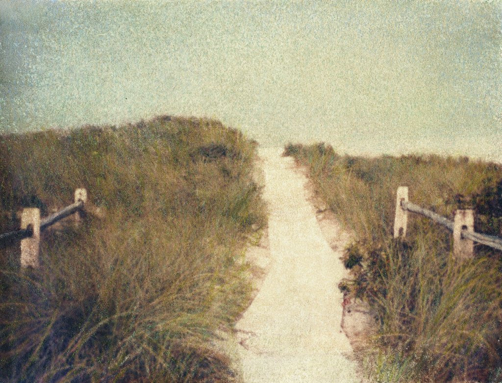 Detail of Beach Trail by Jennifer Kennard