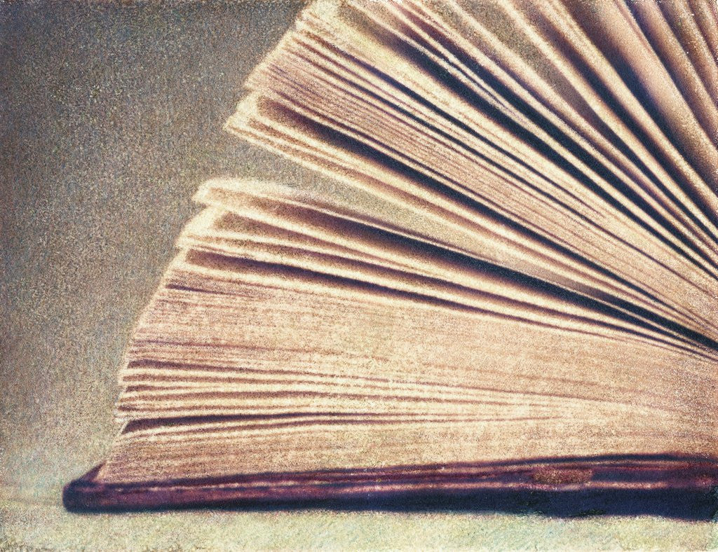 Detail of Open Book #7 by Jennifer Kennard