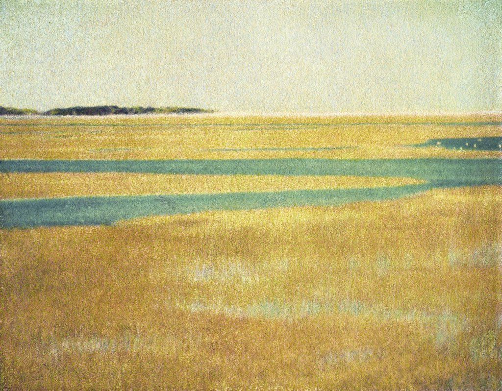 Detail of Cape Cod Tidelands #2 by Jennifer Kennard
