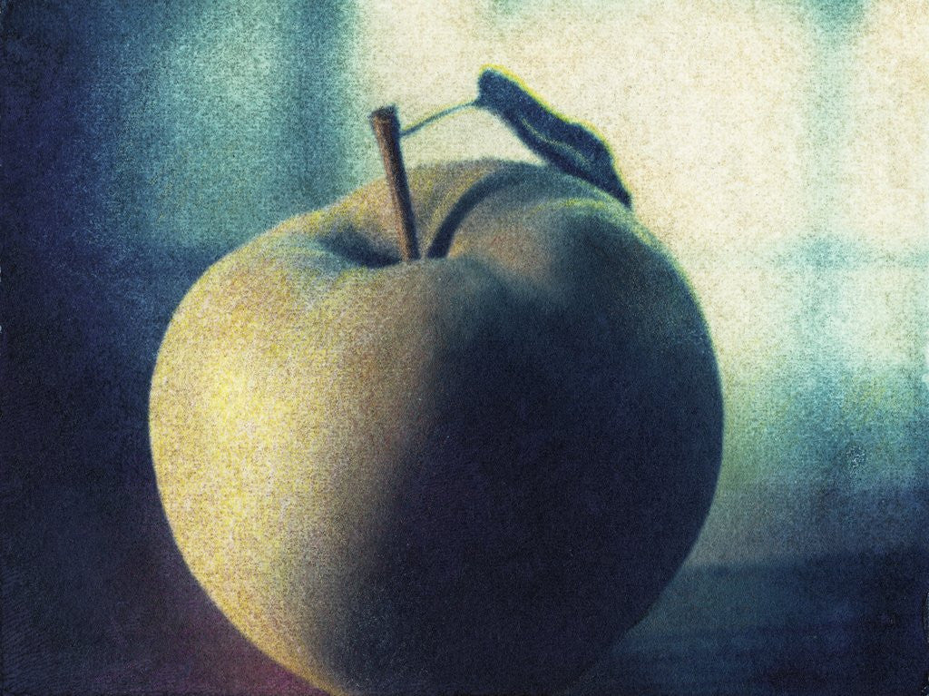 Detail of Green Apple by Jennifer Kennard