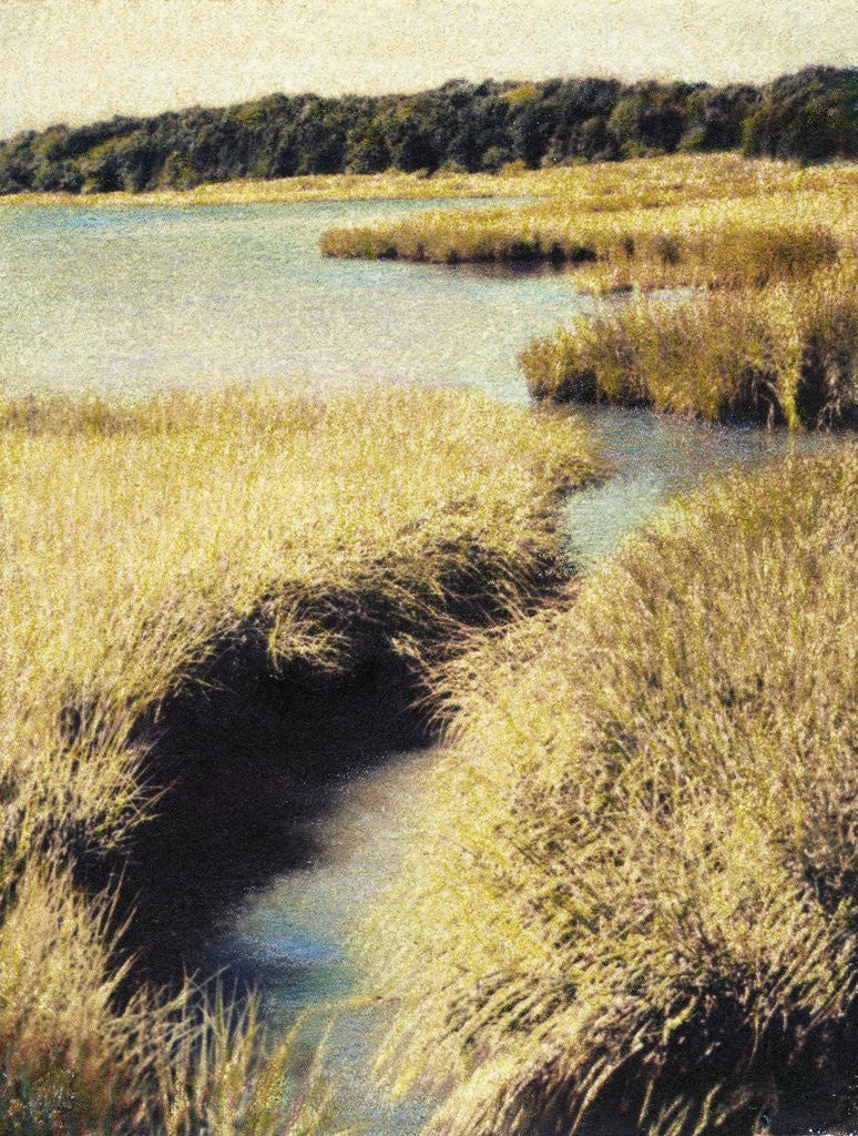 Detail of Cape Cod Tidelands by Jennifer Kennard