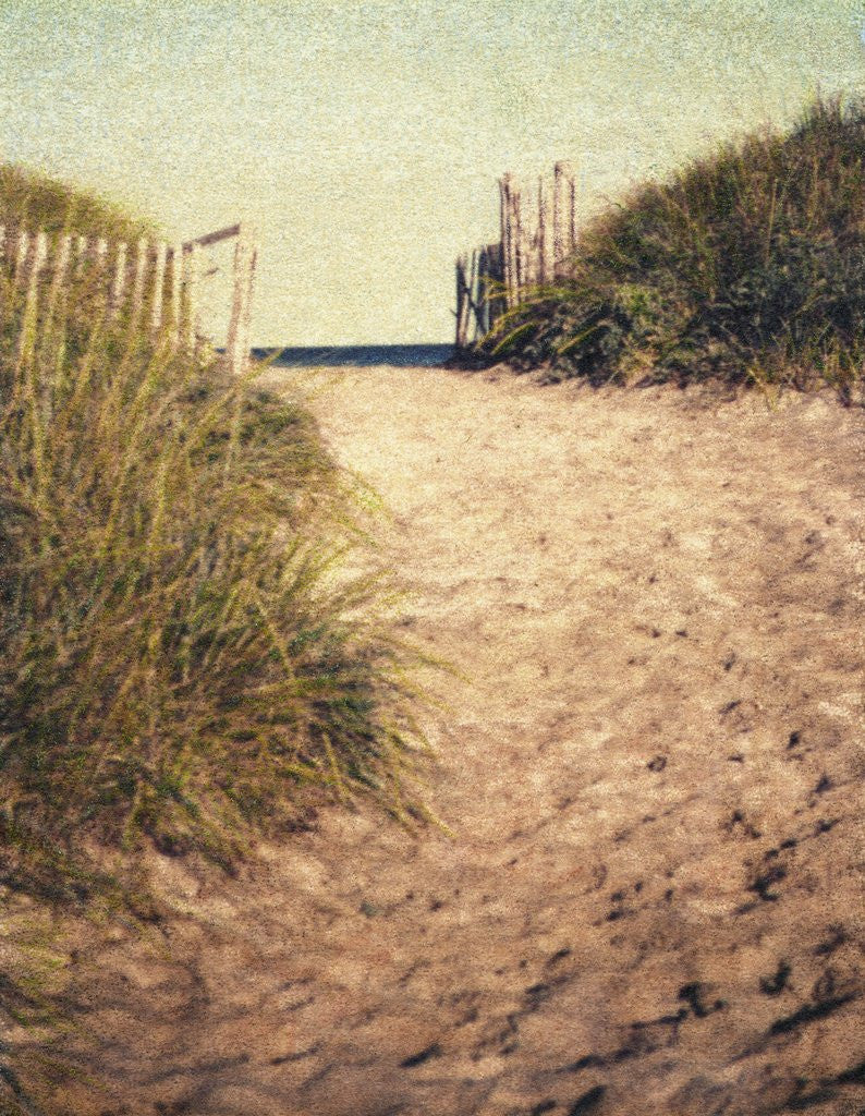 Detail of First Encounter Beach by Jennifer Kennard