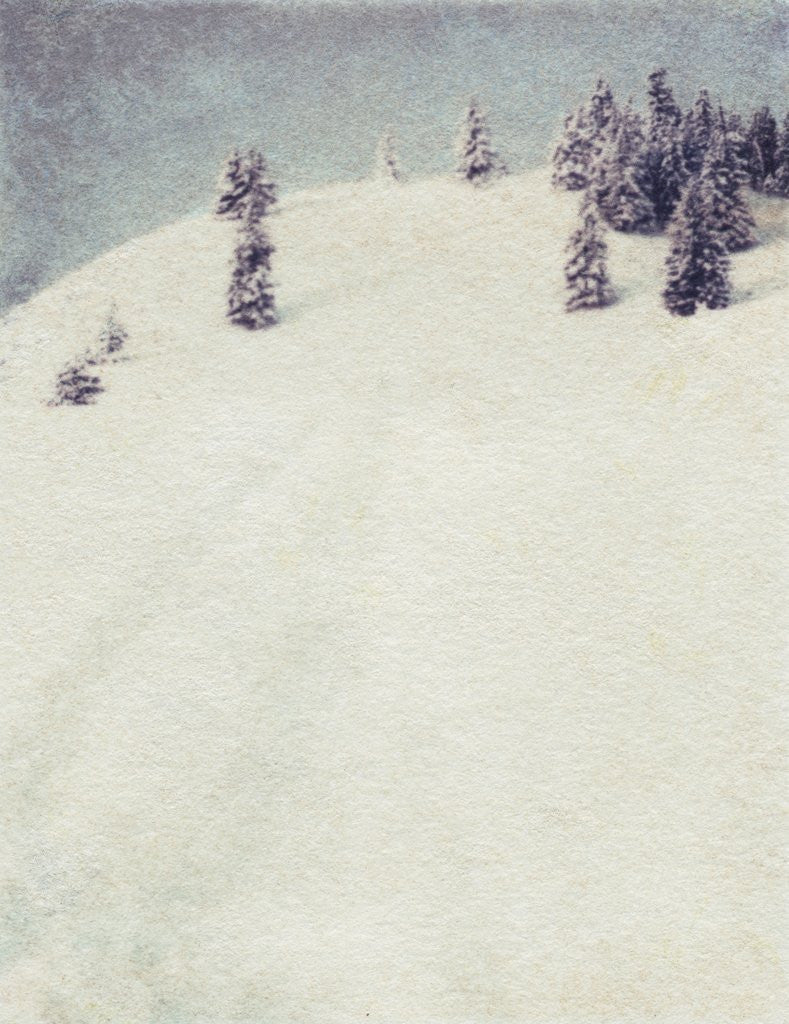 Detail of Early Snow in the Methow by Jennifer Kennard