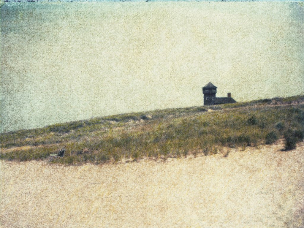 Detail of Cape Cod National Seashore by Jennifer Kennard