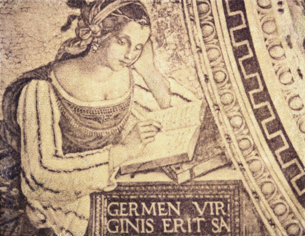Detail of Sabilla Persica by Jennifer Kennard