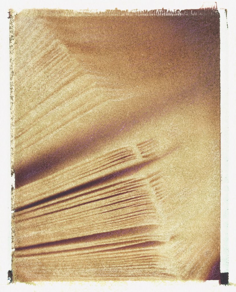 Detail of Book Pages by Jennifer Kennard