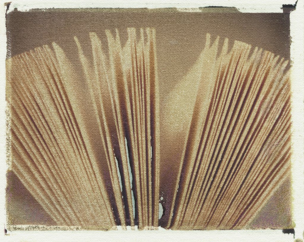 Detail of Book Pages #2 by Jennifer Kennard