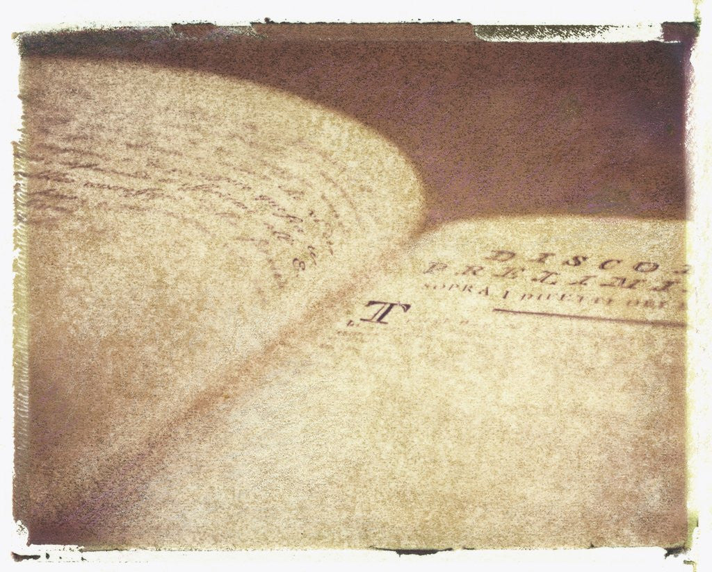 Detail of 16th-Century Italian Book #2 by Jennifer Kennard