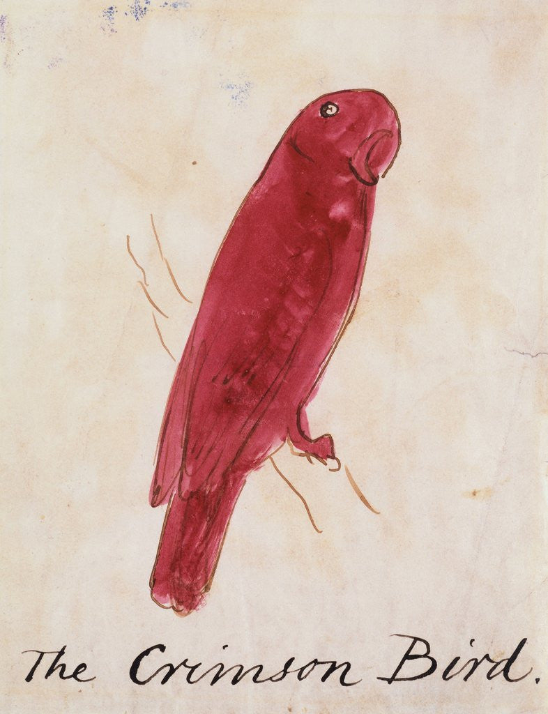 Detail of The Crimson Bird by Edward Lear