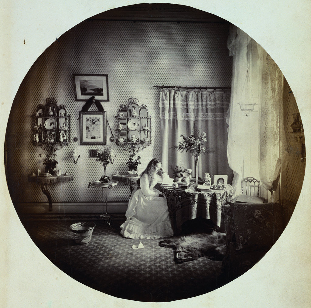 Detail of Albumen Print Portrait of a Young Woman Reading in One of Henry Arthur Herbert's Homes by Anonymous