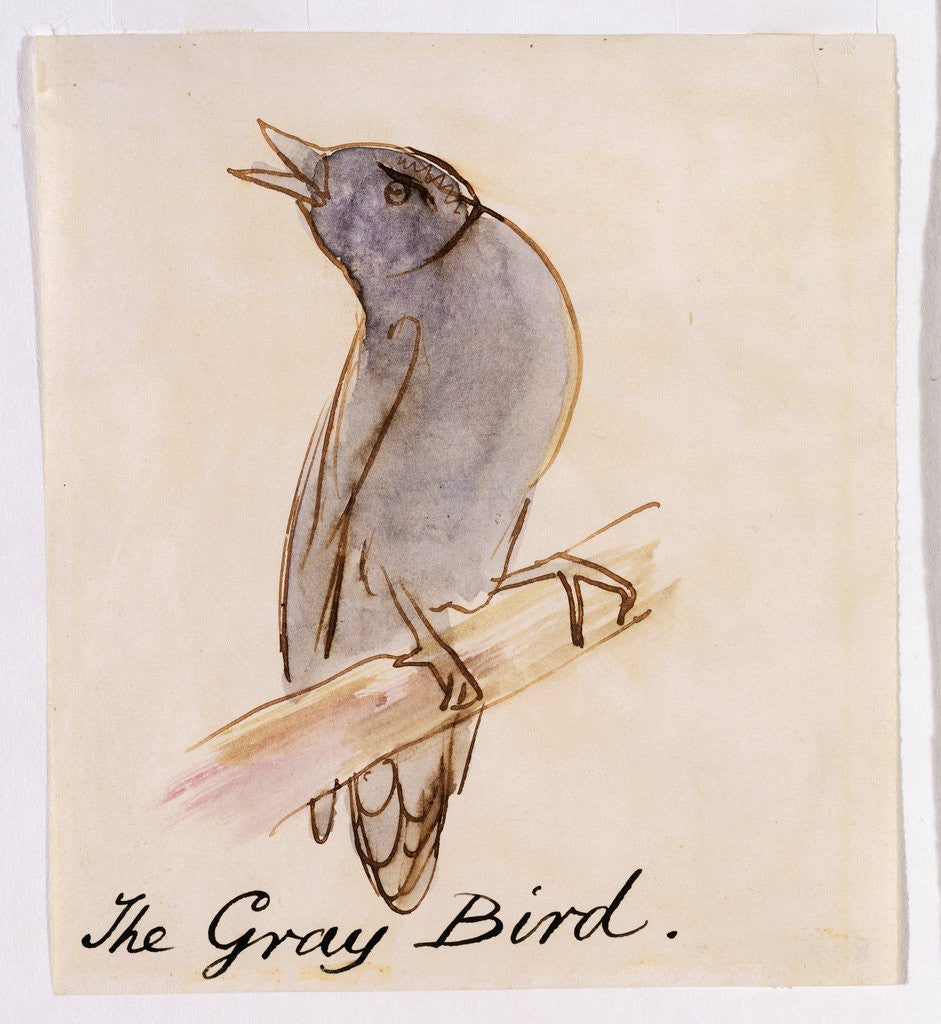 Detail of The Gray Bird by Edward Lear