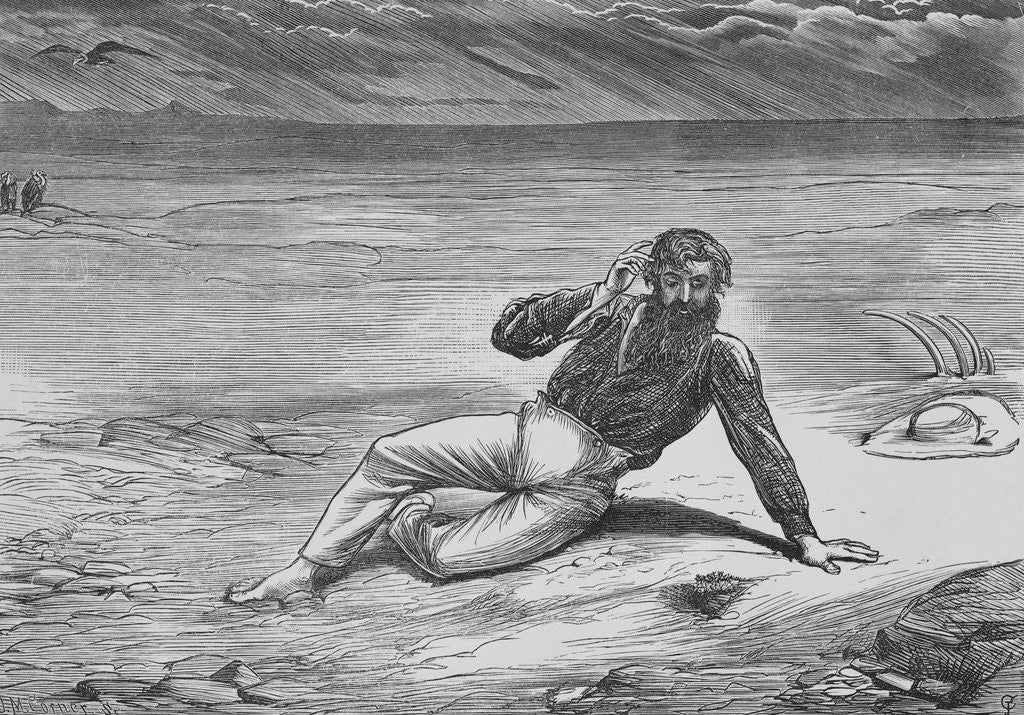 Detail of Mungo Park Encouraged by the Sight of a Little Flower by Anonymous