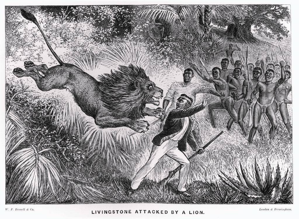 Detail of Livingstone Attacked by a Lion by Corbis