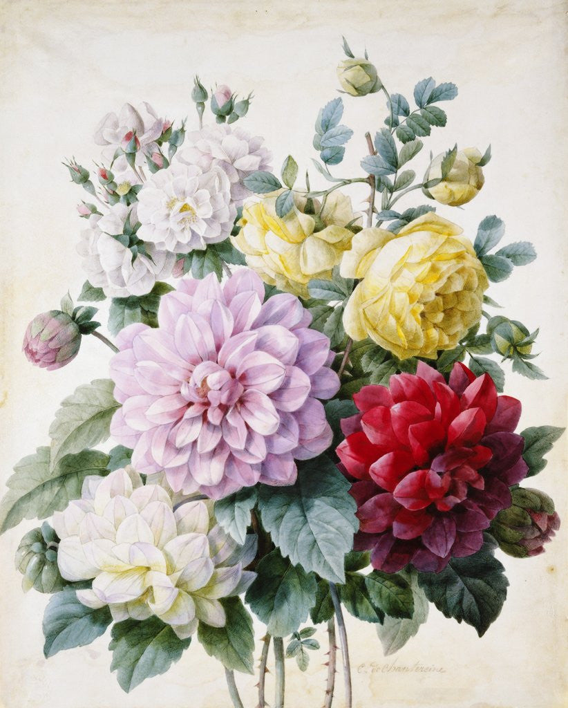 Detail of Bouquet of Dahlias and Roses by Camille de Chantereine